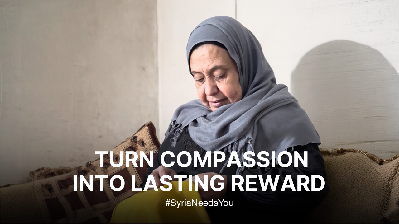 Turn compassion into lasting reward